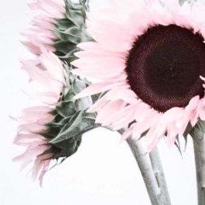 Meet your Posher, Hilary